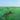 Squid - Bright Green Field