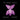 The March Violets - Natural History