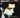 Nick Cave & The Bad Seeds - Your Funeral...my Trial