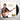 Hank Marvin - Gold