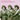 The Andrews Sisters - The Very Best Of