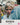 Barbara Loden / Michael Higgins - Wanda