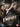 Steve Buscemi / Kelly Macdonald - Boardwalk Empire Complete Series 1-5