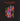 Foo Fighters - Wasting Light