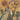 Midnight Oil - Earth & Sun & Moon