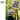 Saint Etienne - Foxbase Alpha Boxset