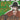 Blaze Foley - Sittin' By The Road (2025 ReIssue)