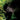 Alex Mackay - Targazer