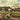 Nash Ensemble - Trio For Pianoforte Clarinet & Violoncello In B Flat Op 11