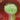 Hintermass - Apple Tree
