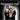 Fleetwood Mac - Greatest Hits Live (The Broadcast Collection)