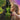 Various Artists - Wicked: For Good (Original Soundtrack)