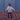 Jesse Maccormack - After The Glow