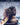 Hany Abu-assad / Idris Elba / Kate Winslet - Mountain Between Us