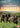 Iain Glen / Thomas Kretchmann / Tim Mcinnerny - Windermere Children