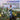 Raphael Quartet - Italian String Quartets
