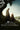 Daniel Ings/Peter Claffey - A Knight Of The Seven Kingdoms