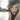 Kelly Clarkson - Breakaway: 20th Anniversary