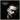 Maverick Sabre - Lonely Are The Brave