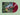 Muva Of Earth - Align With Natures Intelligence