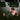 Chat Pile - Masks