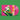 Pink Vinyl