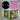 Black Vinyl