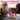 Buckshot Lefonque - Music Evolution