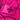 CD(ANXIETY VERSION)