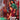 Hideo Gosha/Rino Katase/Tsunehiko Watase - Gate Of Flesh