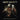 Amon Amarth - The Allfather Awakens