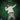 Ken Carson - Project X (5 Year Anniversary)
