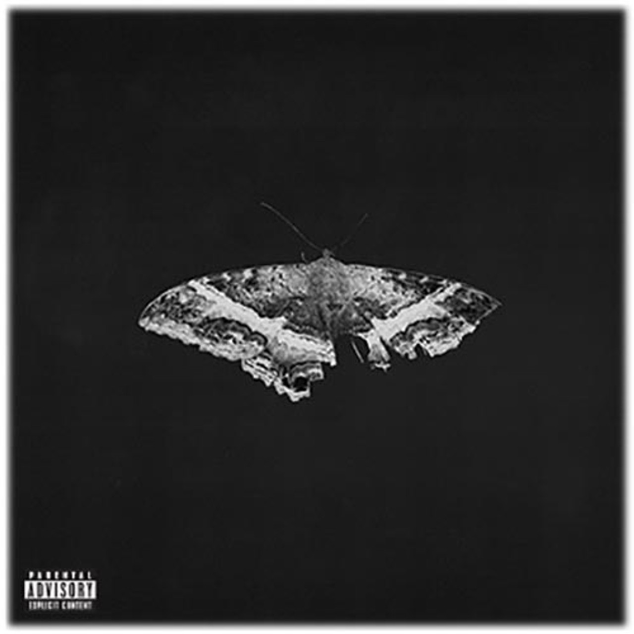 To Pimp A Butterfly Exclusive