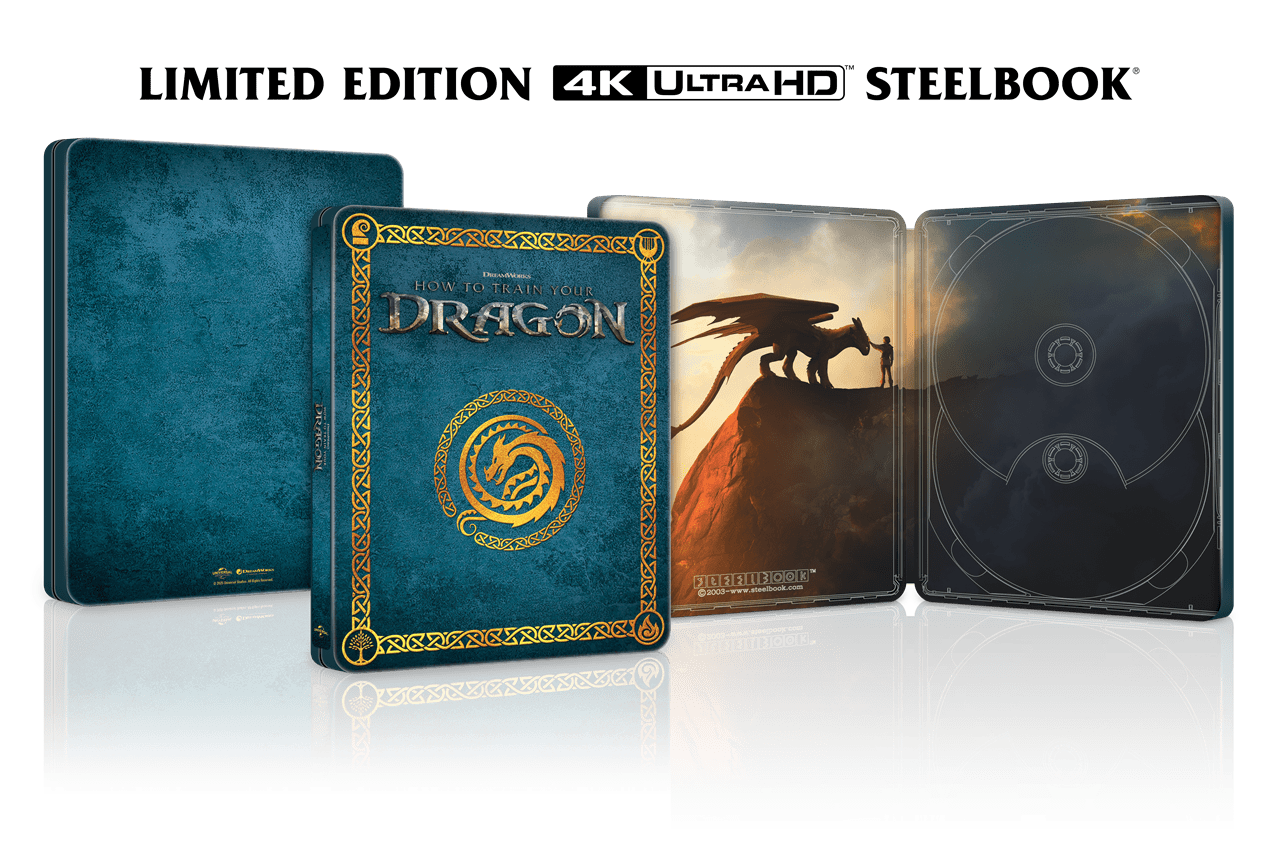 How To Train Your Dragon