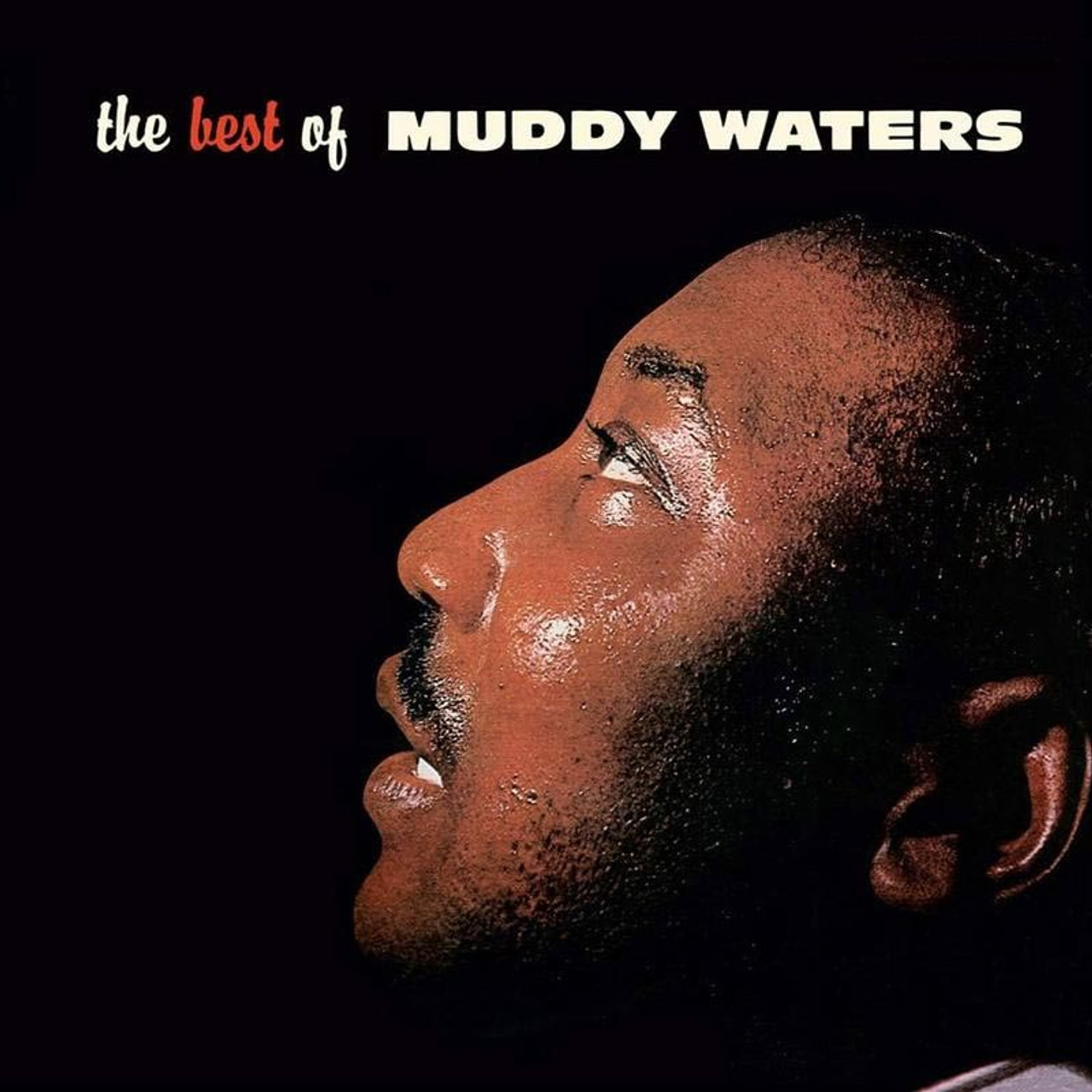The Best Of Muddy Waters (Acoustic Sounds)